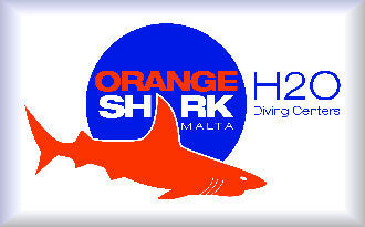 Orange Shark